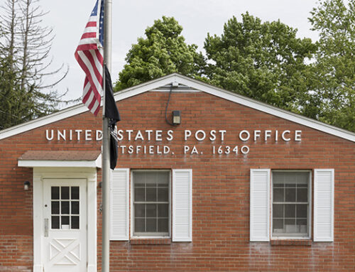 Federal Employee Benefits