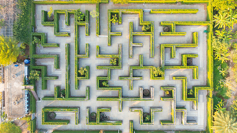 top view of green maze